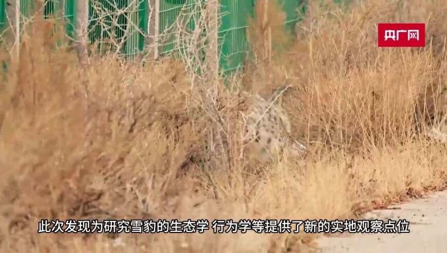 肖战突然从怀里掏出一个小风扇,777766香港近十五期开奖结果,收益成语分析落实_专家版V11.28